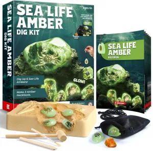 Amber Dig Kit-6 Artificial Sea Life Resin Specimens, Glow in The Dark Oceanlife Fossil Excavation Set, STEM Inspired Educational Toy for Kids Ages 6-12, for Boys & Girls