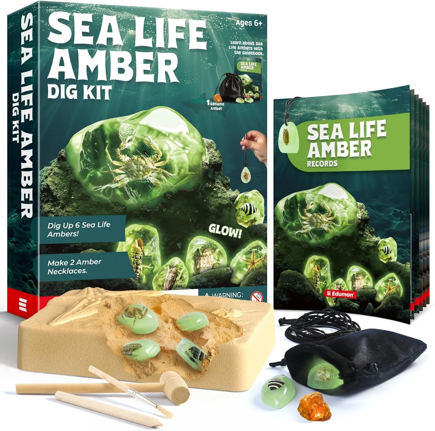 Amber Dig Kit-6 Artificial Sea Life Resin Specimens, Glow in The Dark Oceanlife Fossil Excavation Set, STEM Inspired Educational Toy for Kids Ages 6-12, for Boys & Girls
