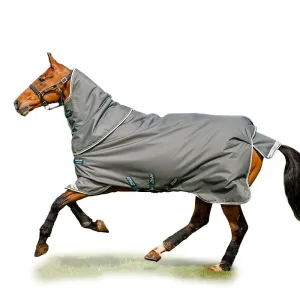 Amigo Bravo 12 Plus TO 250g Pony