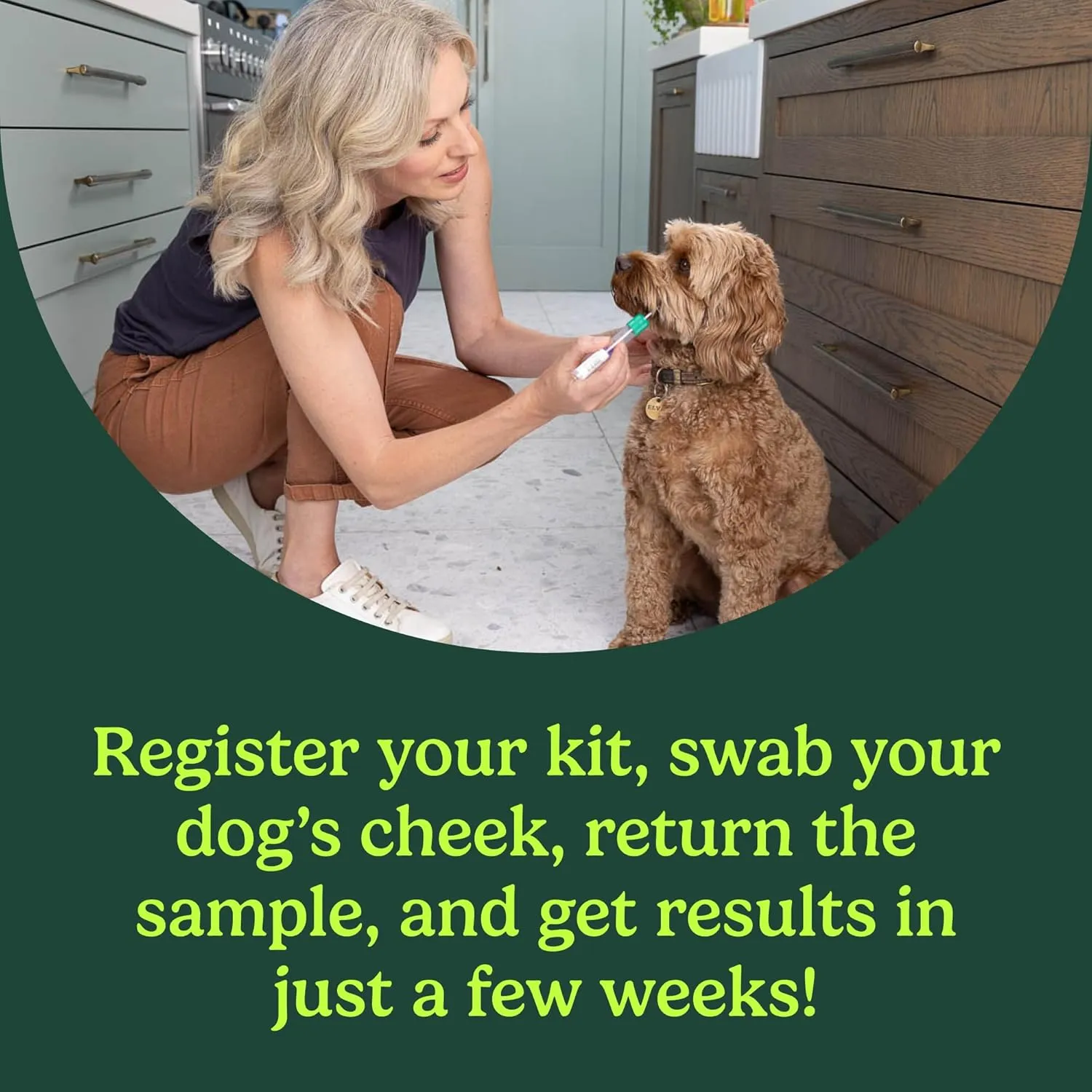 Ancestry Dog DNA Test: at-Home Testing, Breed Identification & Trait Insights, Canine Genetics Analysis, Unique Pet Parent Gift, New Puppy Essentials