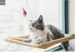 Cat Window Bed