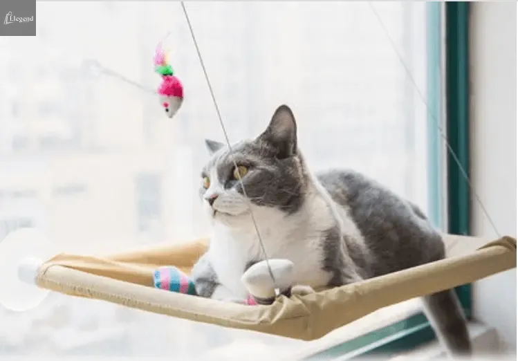 Cat Window Bed
