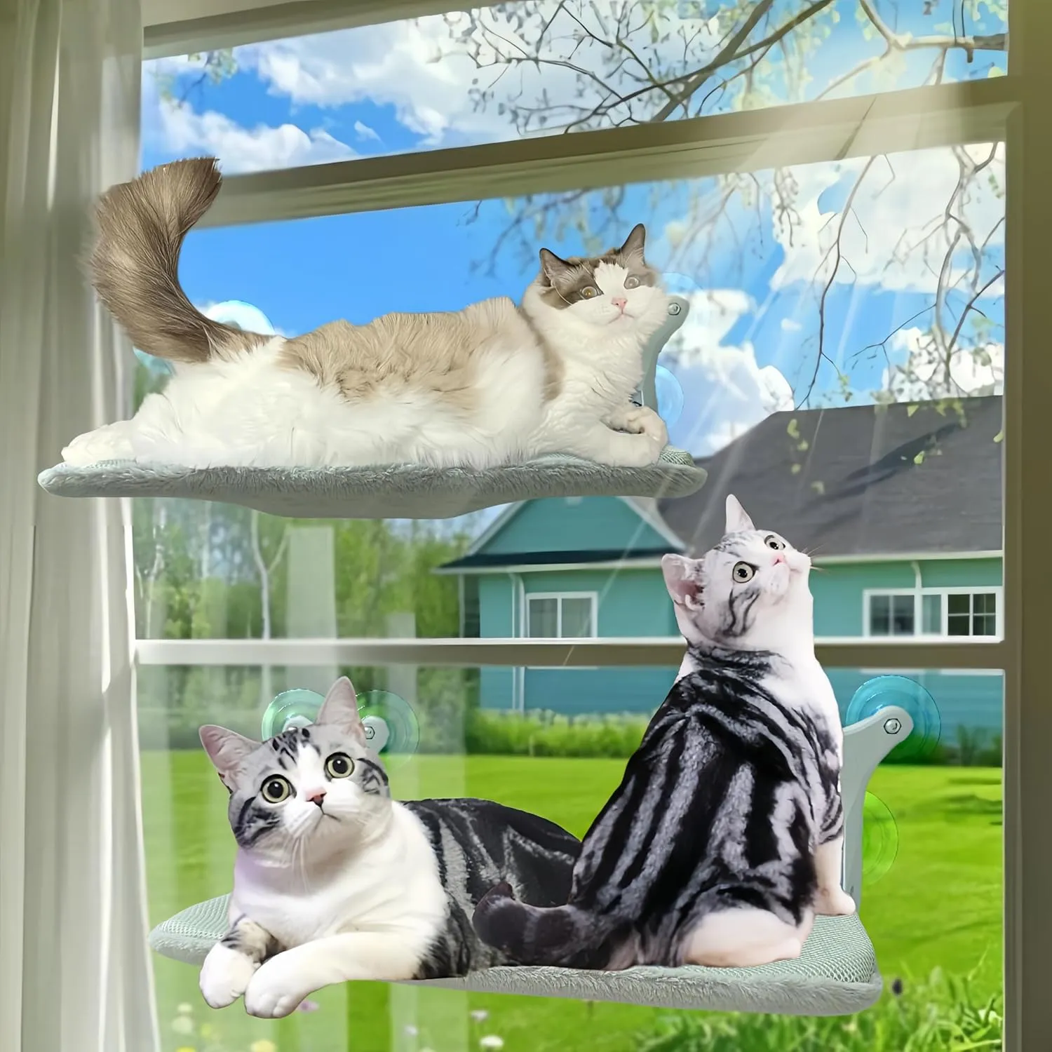 Cat Window Perch with 6 Strong Suction Cups,Indoor Folding Cats' Hammock,Cat Window Bed,Thickened Metal Frame Holds 55 Lbs,Dual-Sided Washable Mat Suitable for All Four Seasons, (Gray, Medium)