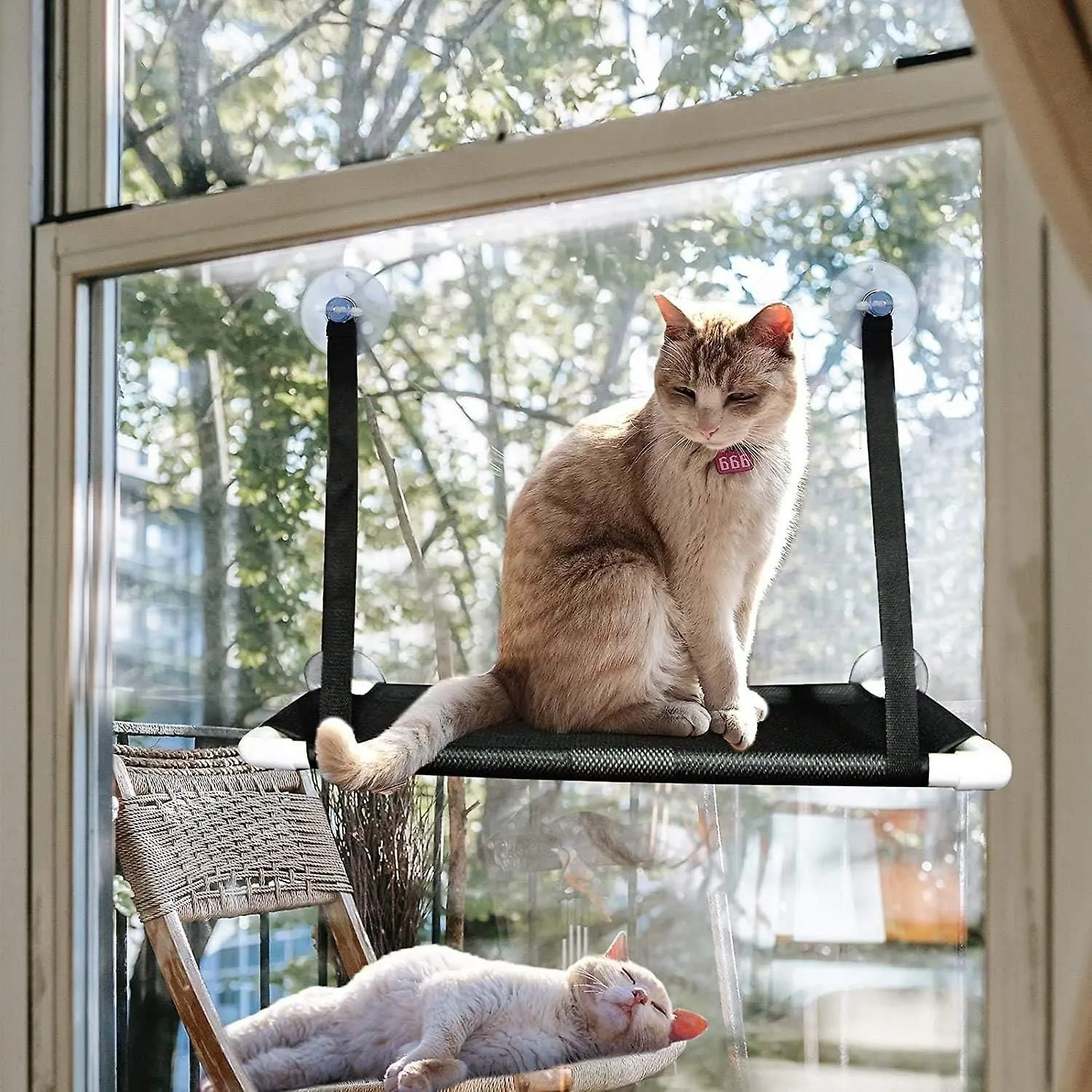 Cat Window Perchcat Hammock Upgraded Cat Window Hammock Perch With 4 Heavy Dut