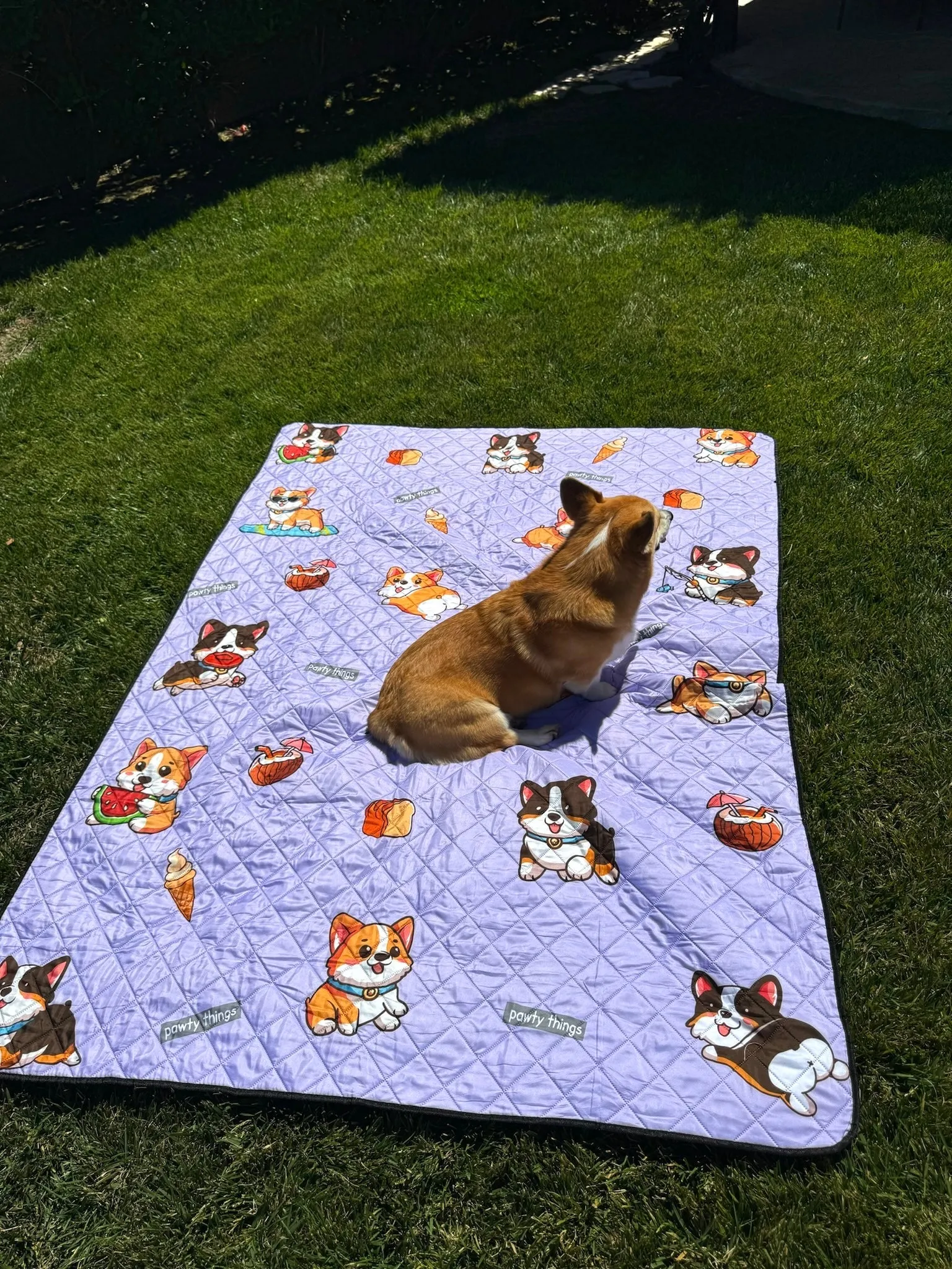 Corgi Picnic/Beach Blanket (Lavender)
