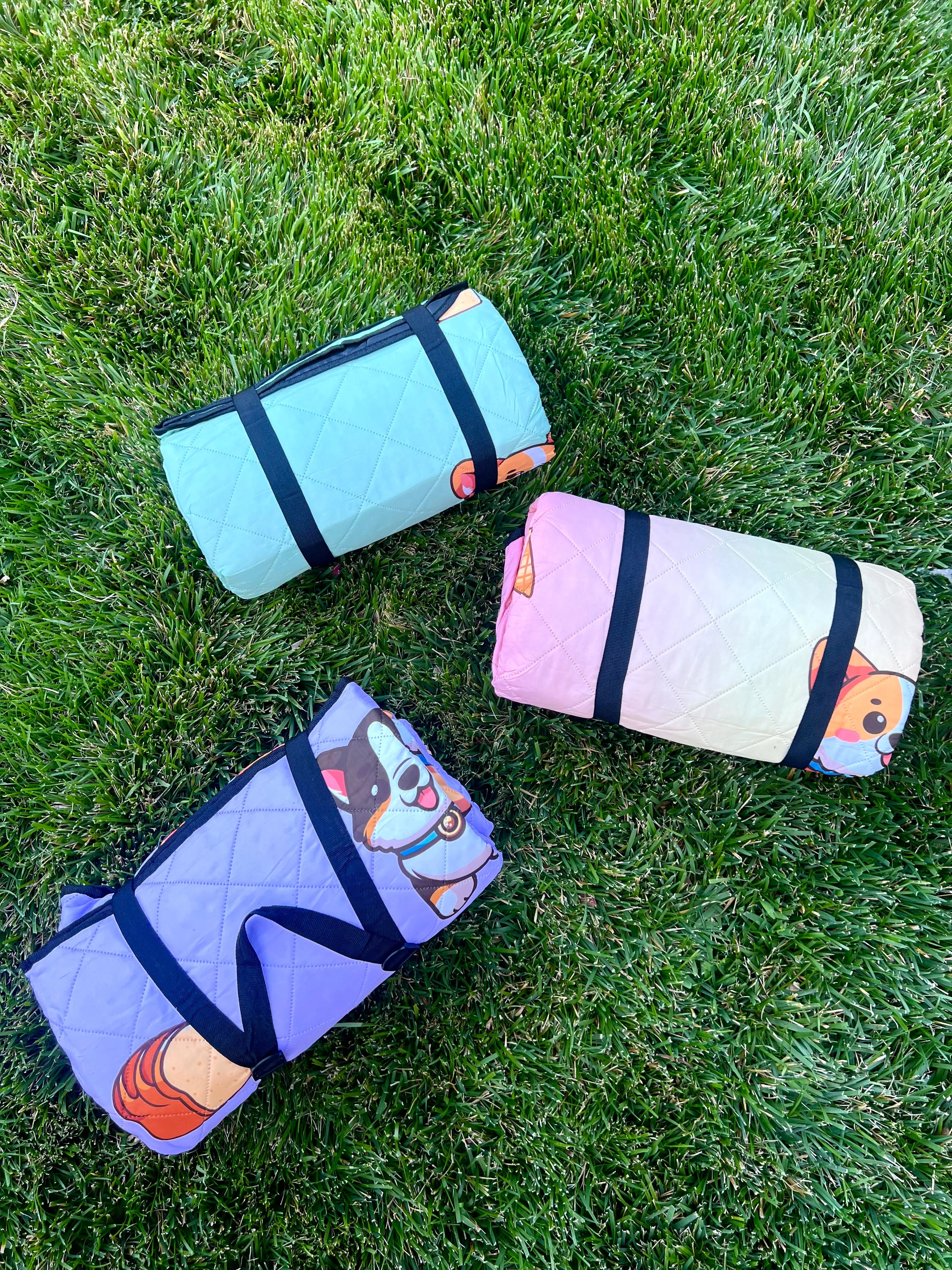 Corgi Picnic/Beach Blanket (Mint Green)