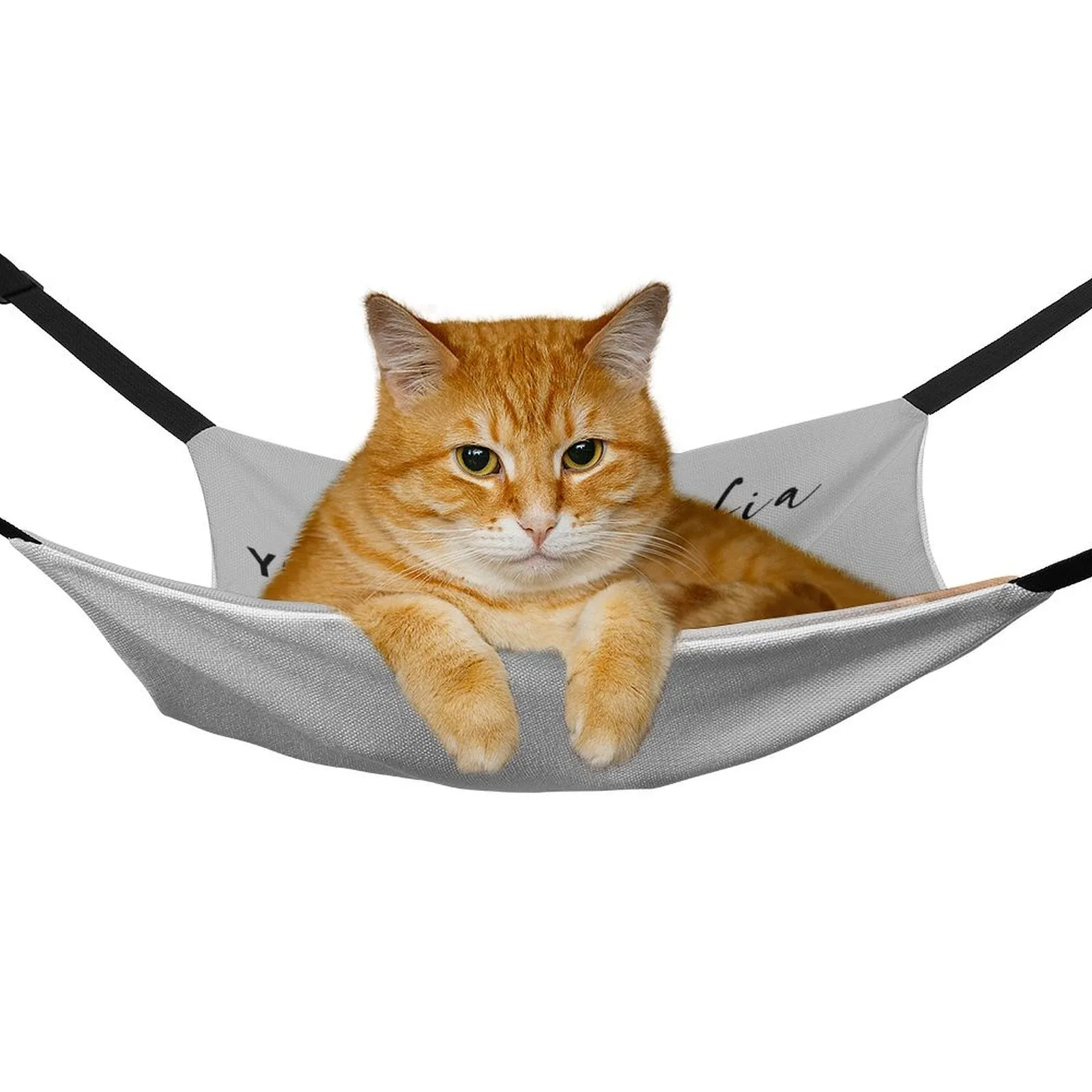 Custom Photo Pet Hammock