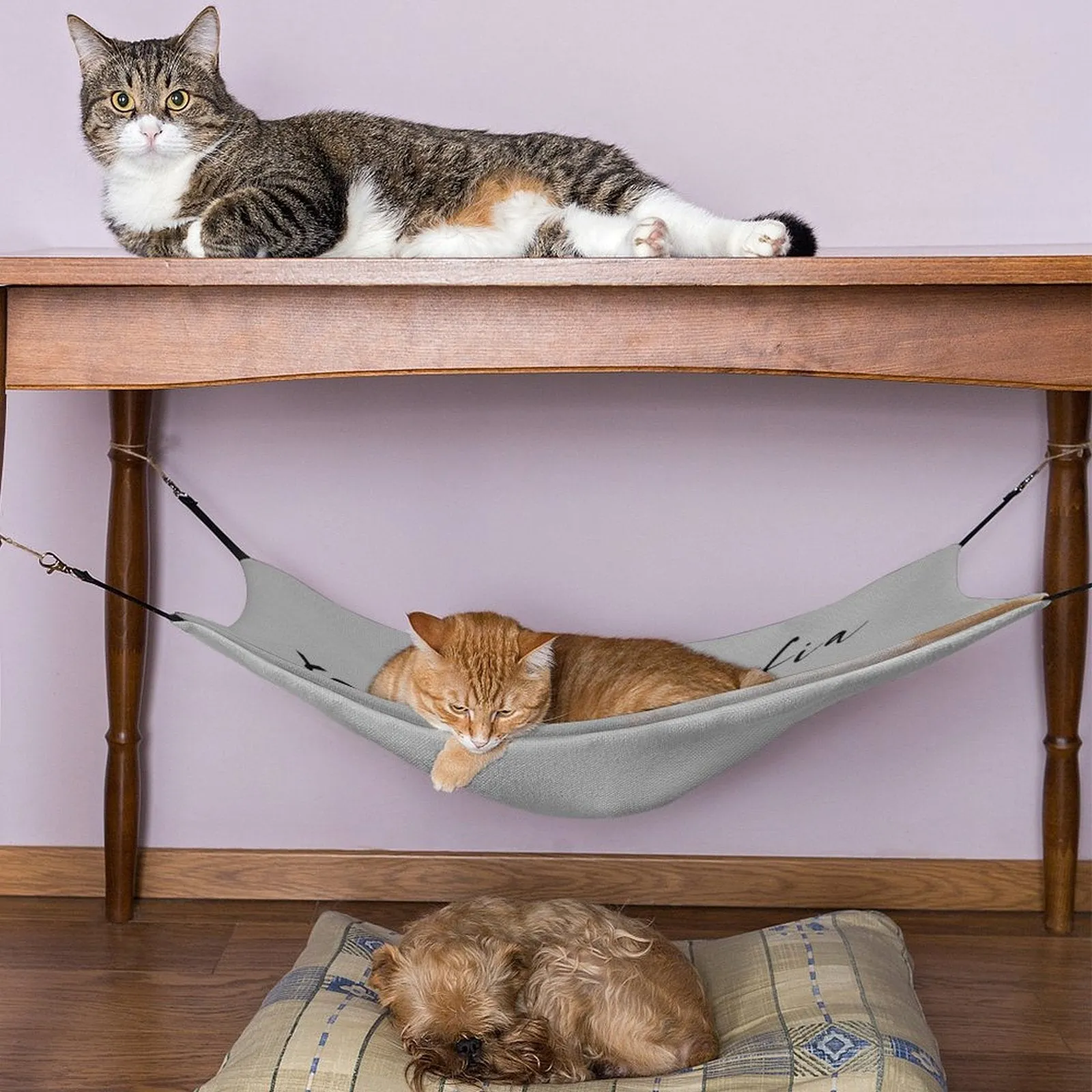 Custom Photo Pet Hammock