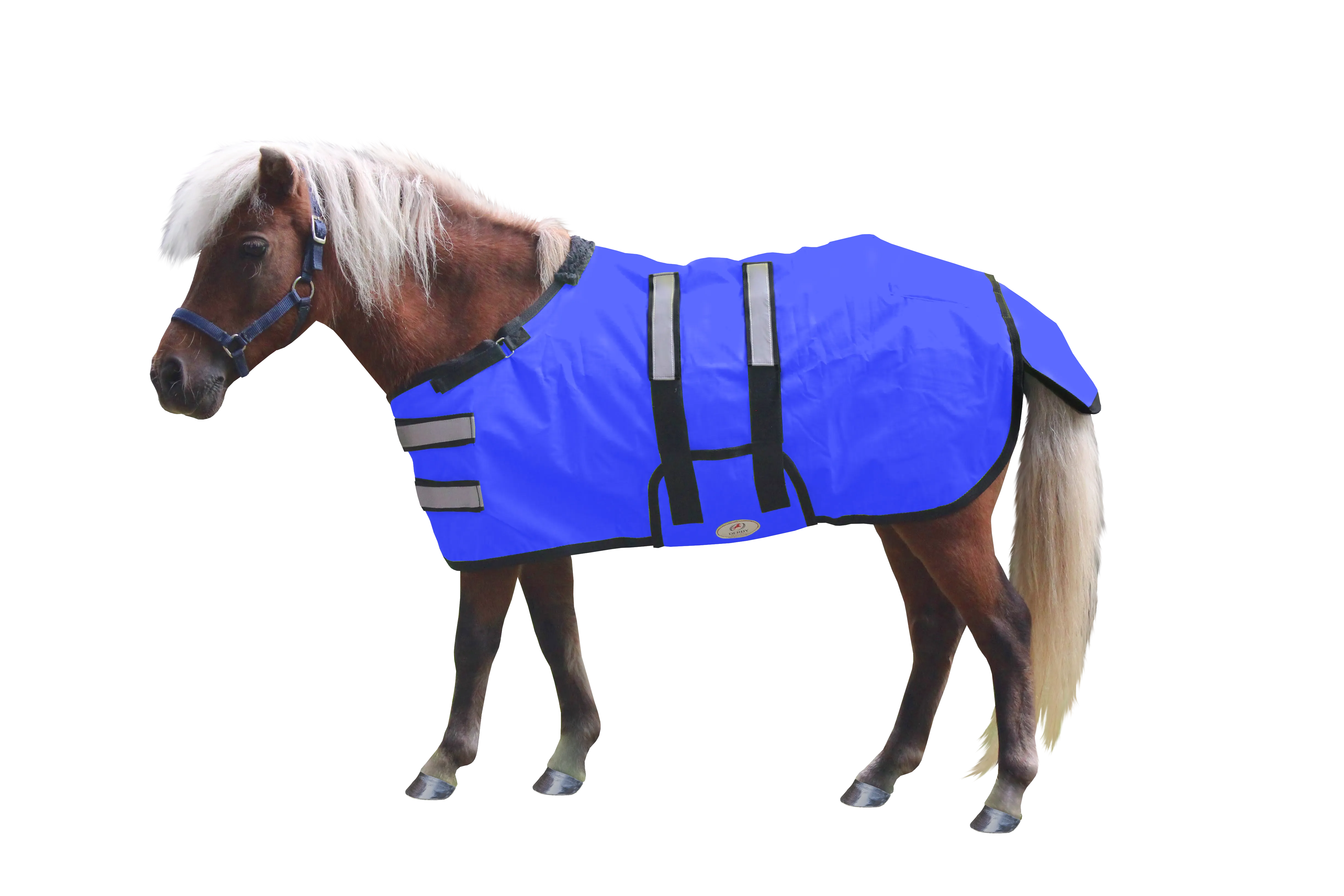 Derby Originals Reflective Safety No Hardware Winter Foal Turnout Blanket 600D Medium Weight 150g