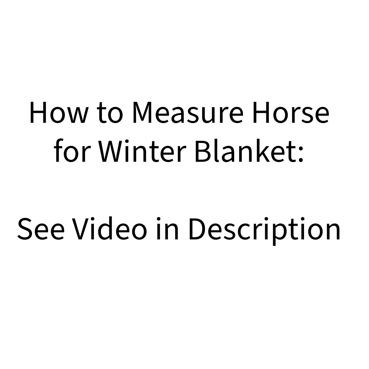 Derby Originals Reflective Safety No Hardware Winter Foal Turnout Blanket 600D Medium Weight 150g