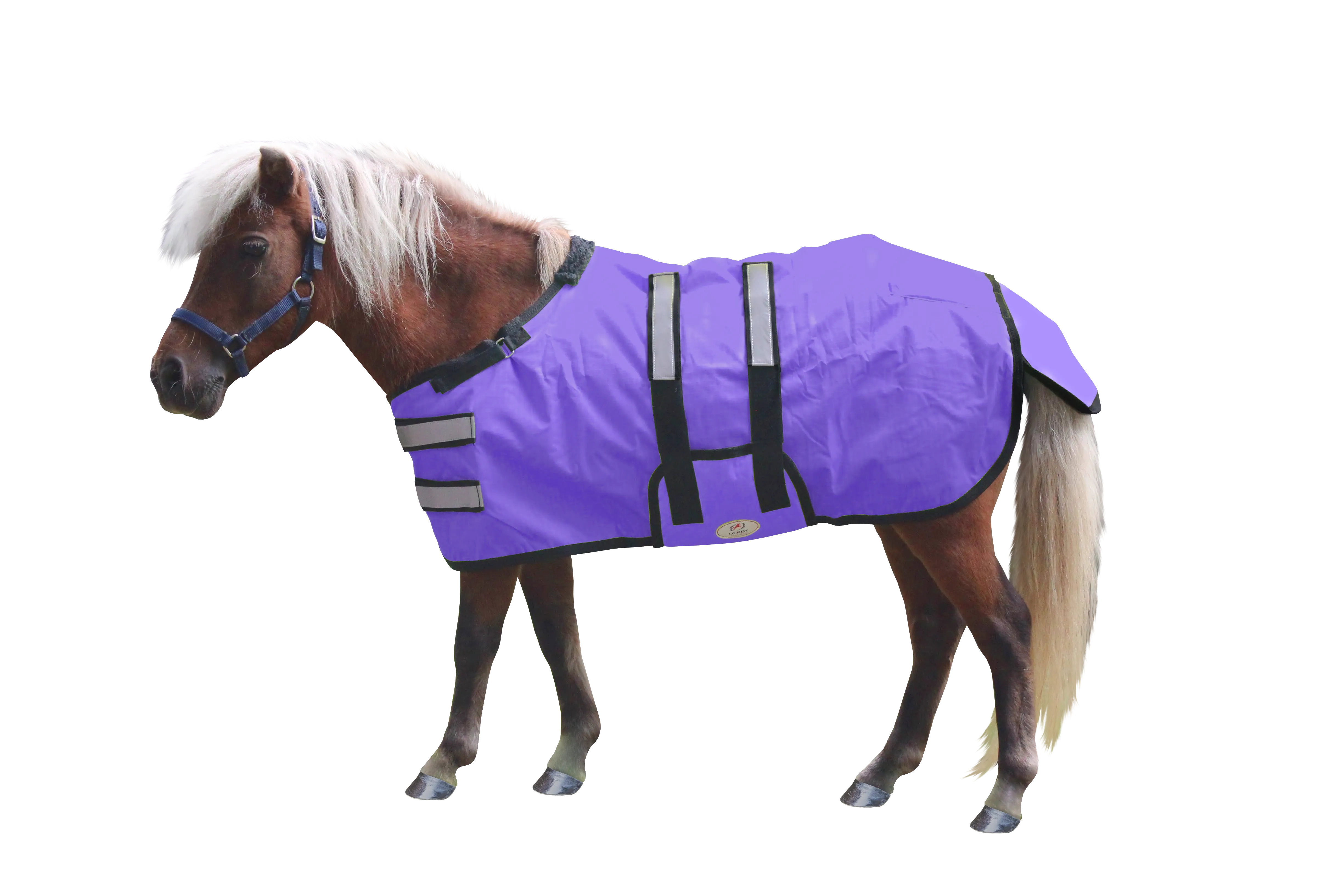 Derby Originals Reflective Safety No Hardware Winter Foal Turnout Blanket 600D Medium Weight 150g