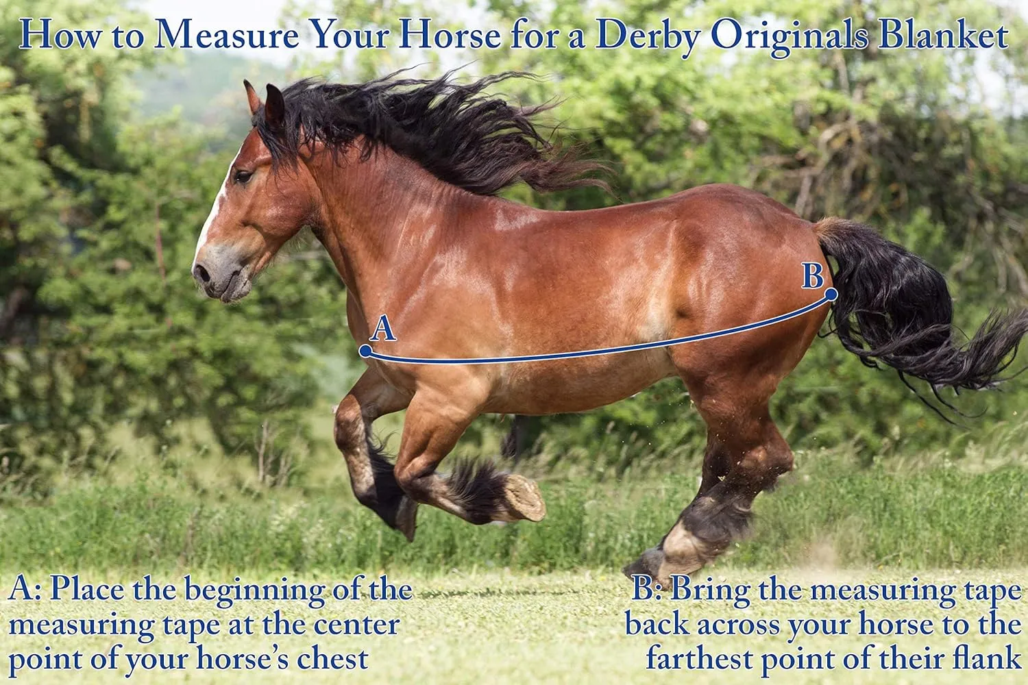 Derby Originals Reflective Safety No Hardware Winter Turnout Blanket for Foals & Mini Horses 1200D Waterproof Ripstop 150g Insulation Triple Layer Breathable 210T Lining