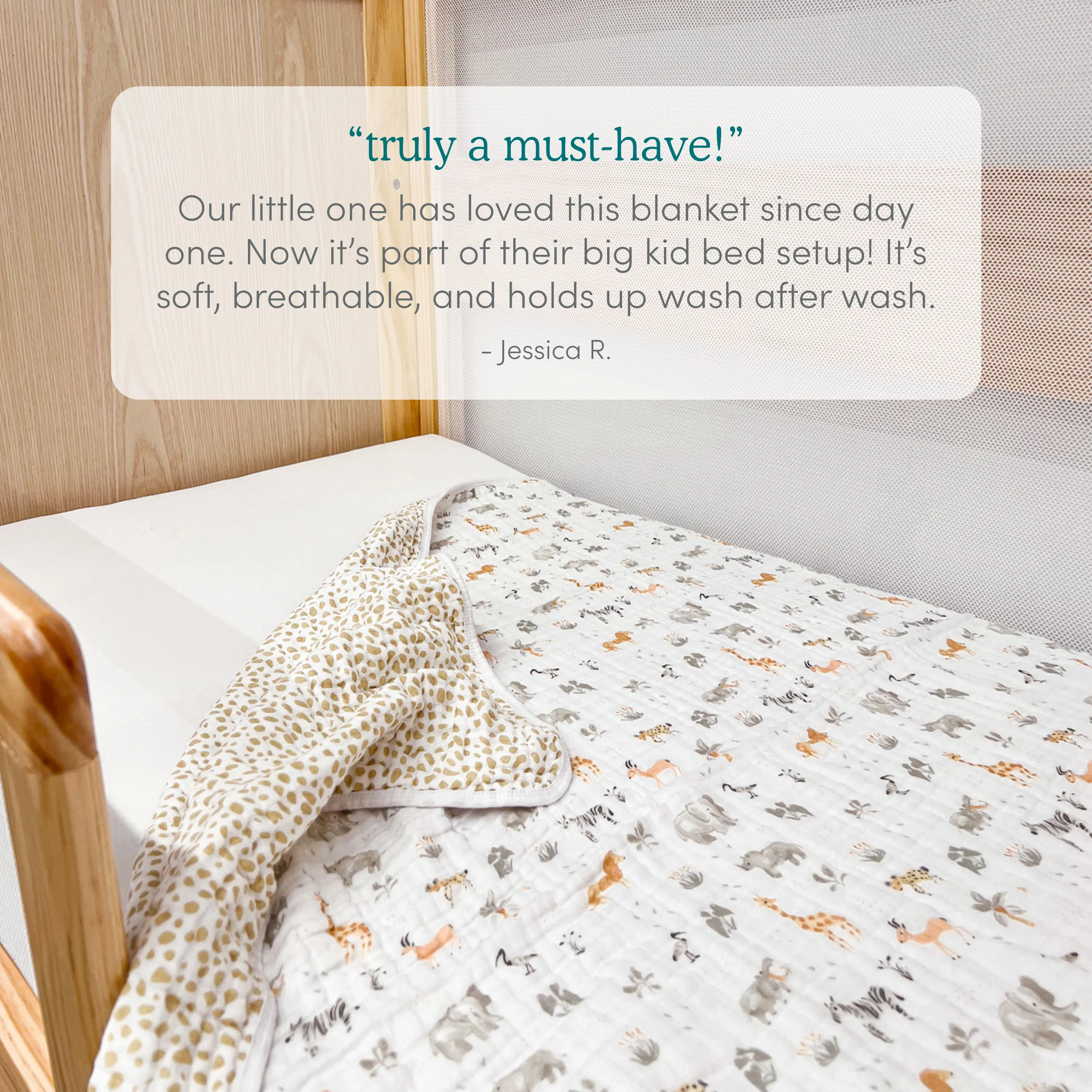 essentials cotton muslin dream blanket