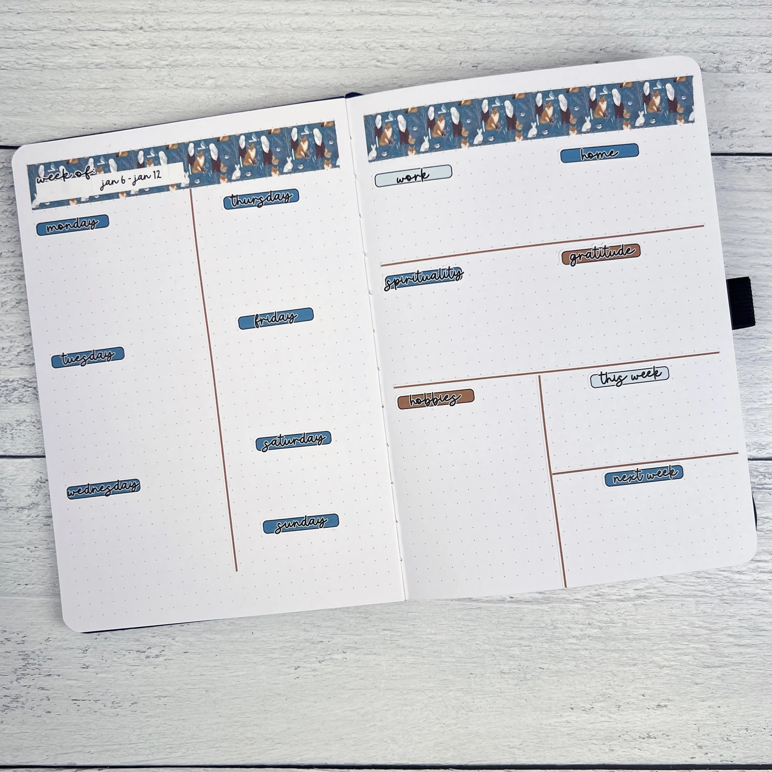Fun Animal Kit | Freestyle Kit Any Planner Kit Stickers | Gone With The Wild | KIT-391-K