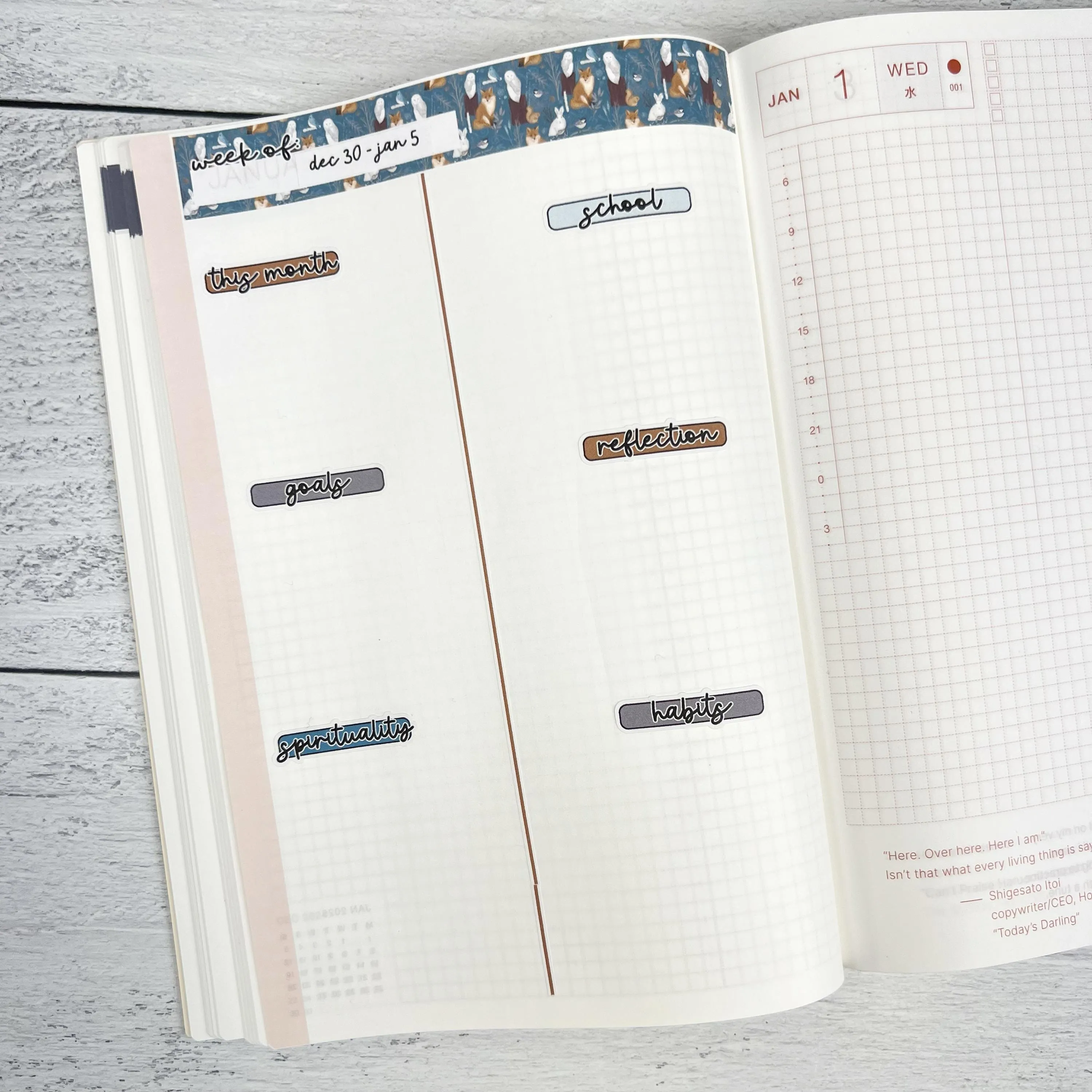 Fun Animal Kit | Freestyle Kit Any Planner Kit Stickers | Gone With The Wild | KIT-391-K