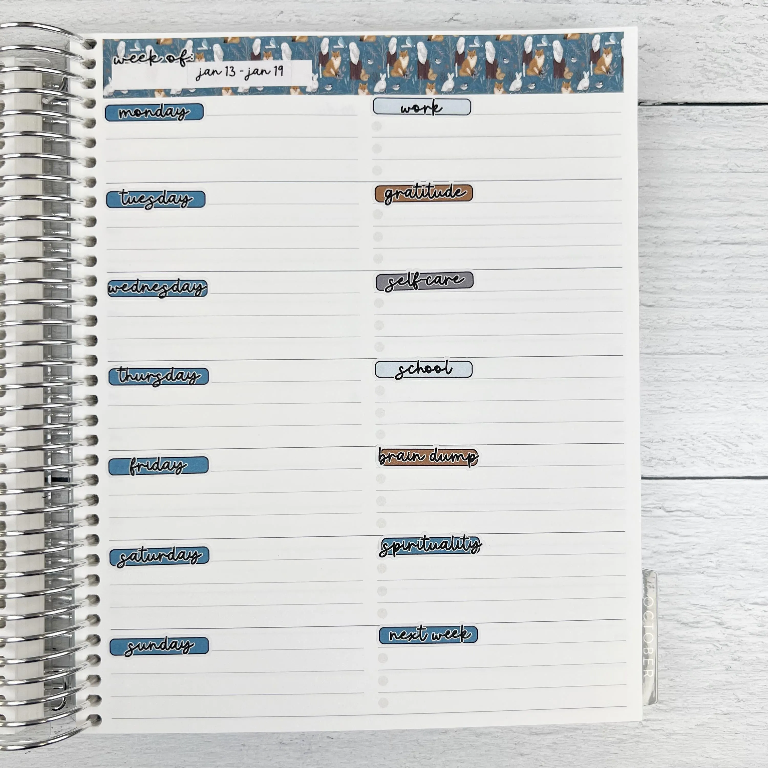 Fun Animal Kit | Freestyle Kit Any Planner Kit Stickers | Gone With The Wild | KIT-391-K