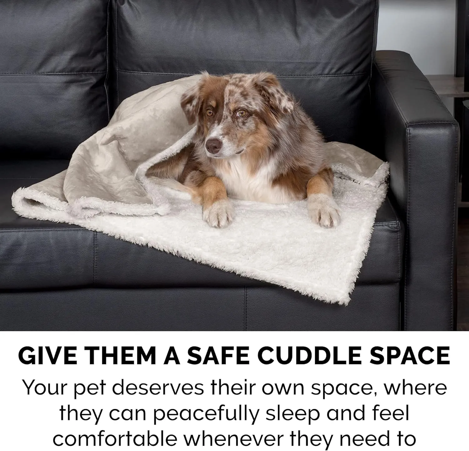 Furhaven Waterproof & Self-Warming Throw Blanket for Dogs & Indoor Cats, Washable & Reflects Body Heat - Soft-Edged Terry & Sherpa Dog Blanket - Dove, Extra Large/XL