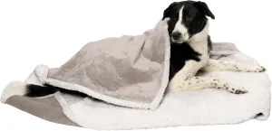 Furhaven Waterproof & Self-Warming Throw Blanket for Dogs & Indoor Cats, Washable & Reflects Body Heat - Soft-Edged Terry & Sherpa Dog Blanket - Dove, Extra Large/XL