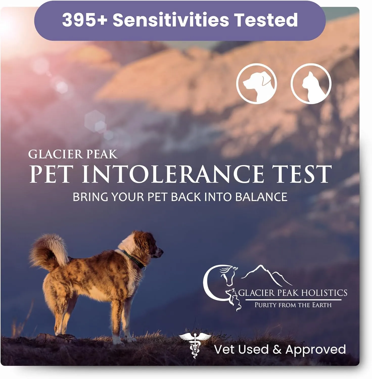 Glacier Peak Holistics, The Original Pet Intolerance Test - Screen for 395  Food and Environmental Stressors, A Hair and Saliva Kit for Cat and Dog Sensitivities (Results in 5-7 Business Days)