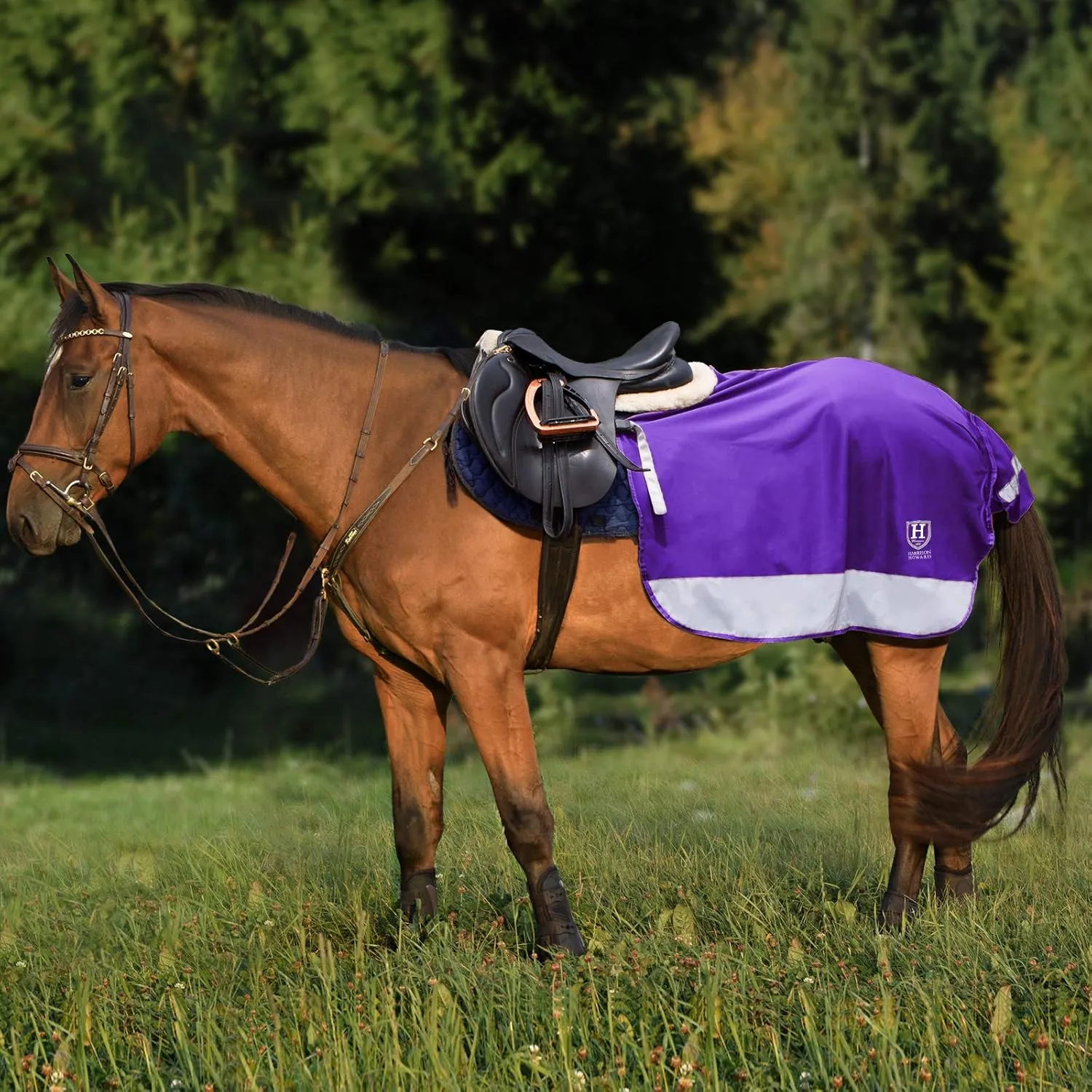 Harrison Howard Quarter Horse Fleece and Mesh Exercise Sheet Breathable Comfort Turnout Horse Blanket Hi-Viz Competition Rug Purple L