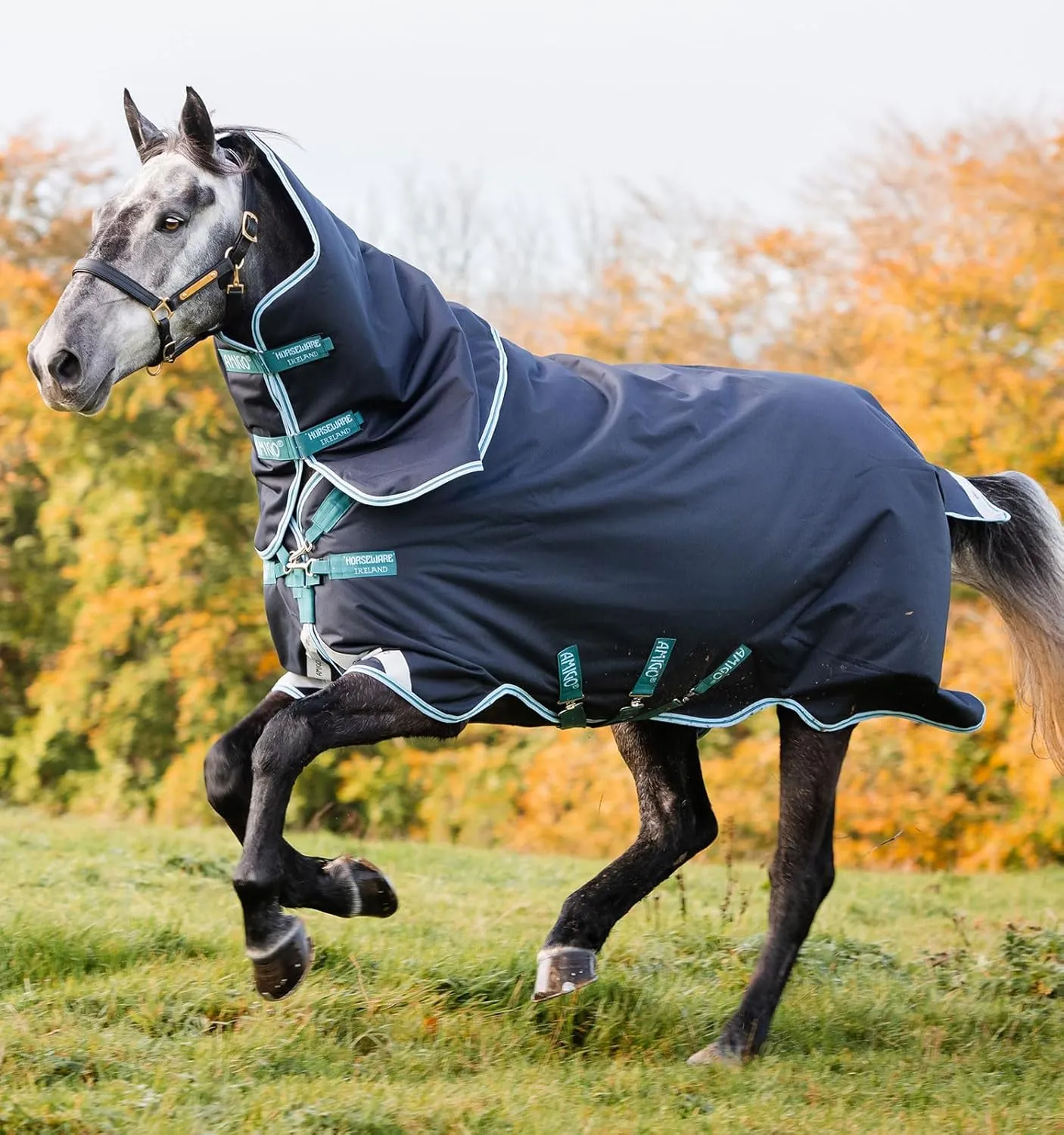 Horseware® Amigo® Bravo 12 Plus Turnout (250g Medium)