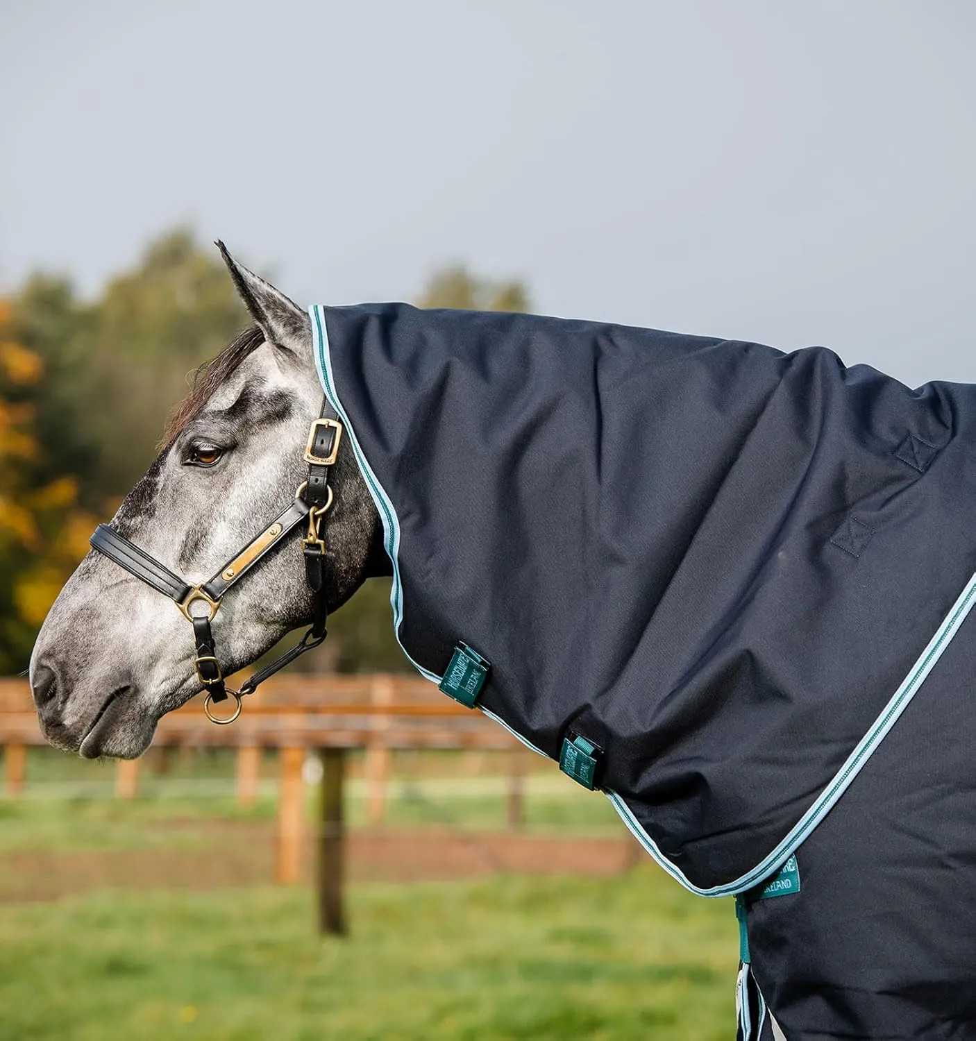Horseware® Amigo® Bravo 12 Plus Turnout (250g Medium)