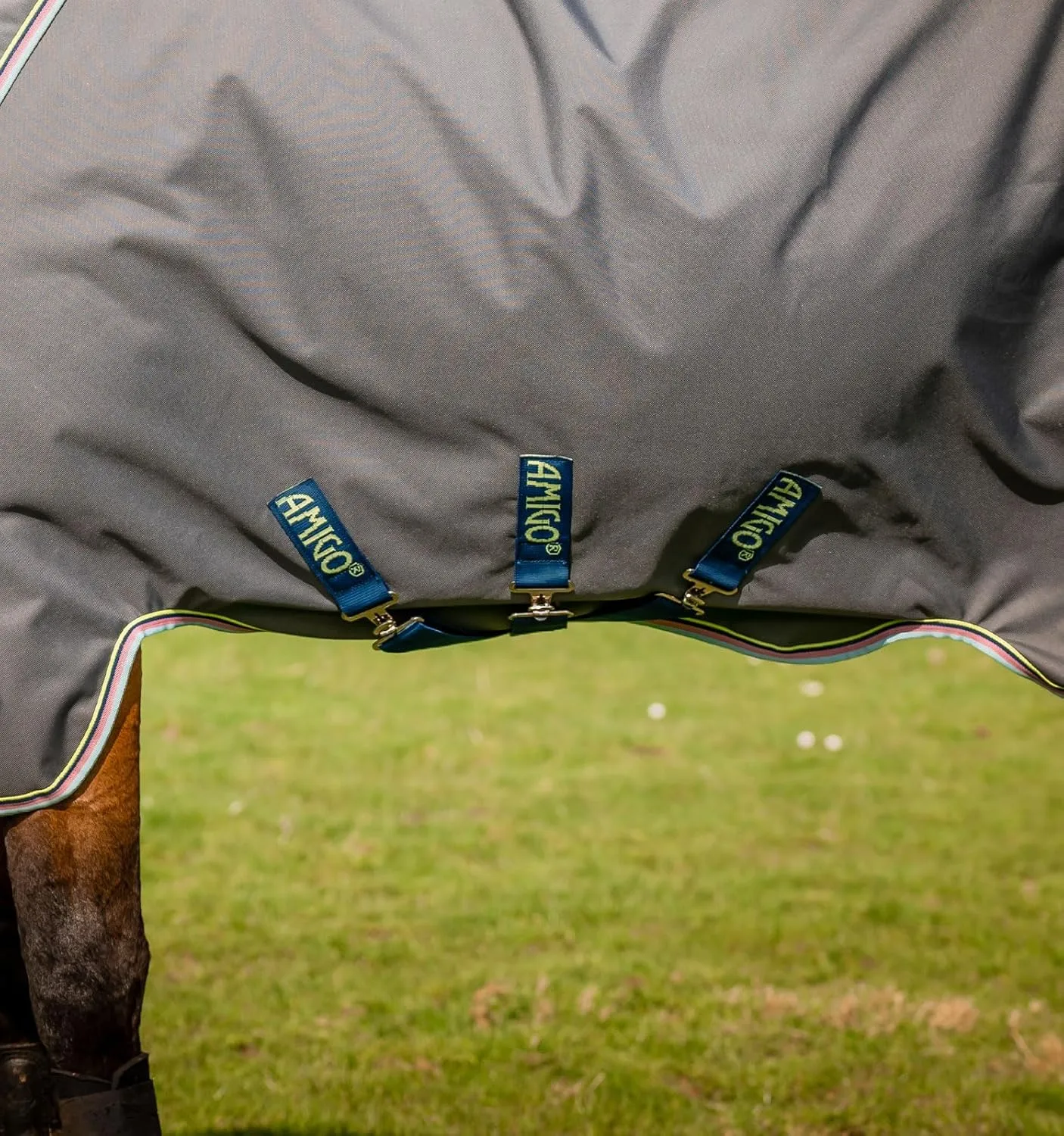 Horseware® Amigo® Bravo 12 Plus Turnout Horse Blanket (250g Medium)
