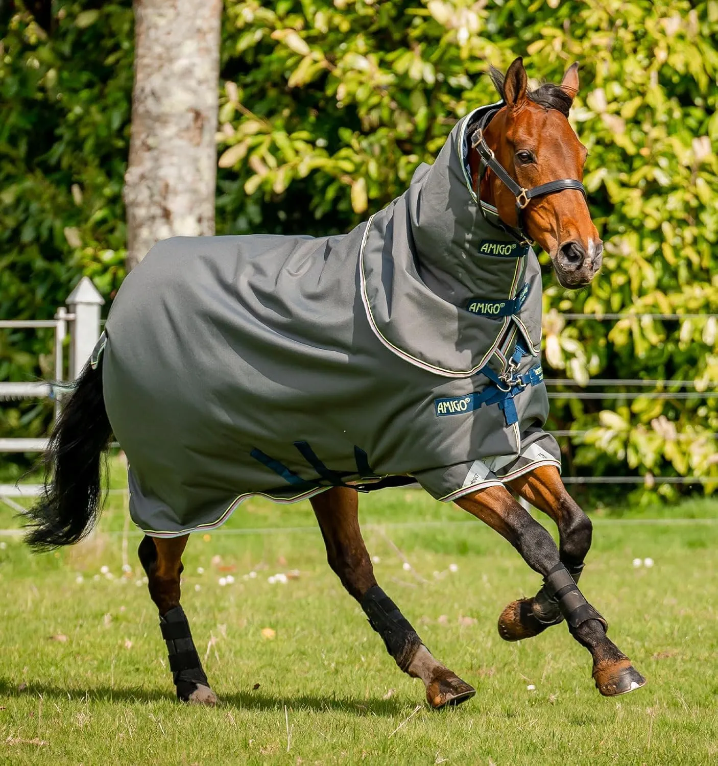 Horseware® Amigo® Bravo 12 Plus Turnout Horse Blanket (250g Medium)