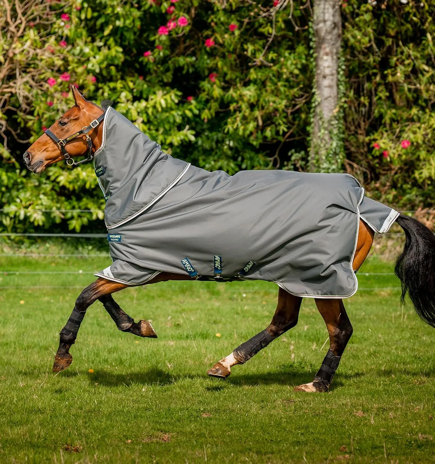 Horseware® Amigo® Bravo 12 Plus Turnout Horse Blanket (250g Medium)