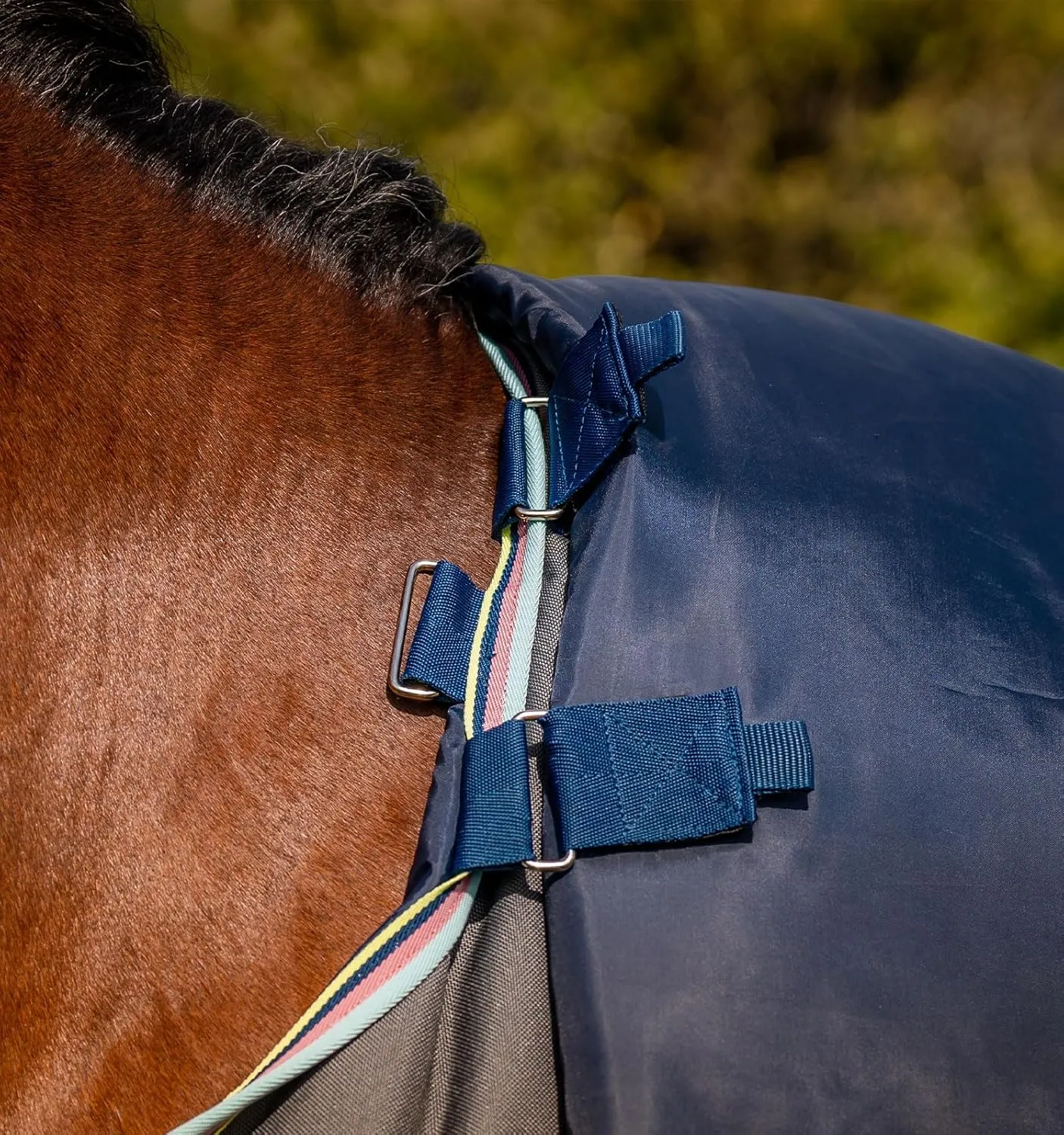 Horseware® Amigo® Bravo 12 Plus Turnout Horse Blanket (250g Medium)
