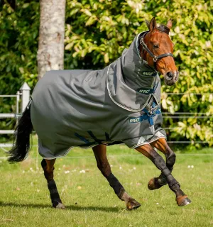 Horseware® Amigo® Bravo 12 Plus Turnout Horse Blanket (250g Medium)