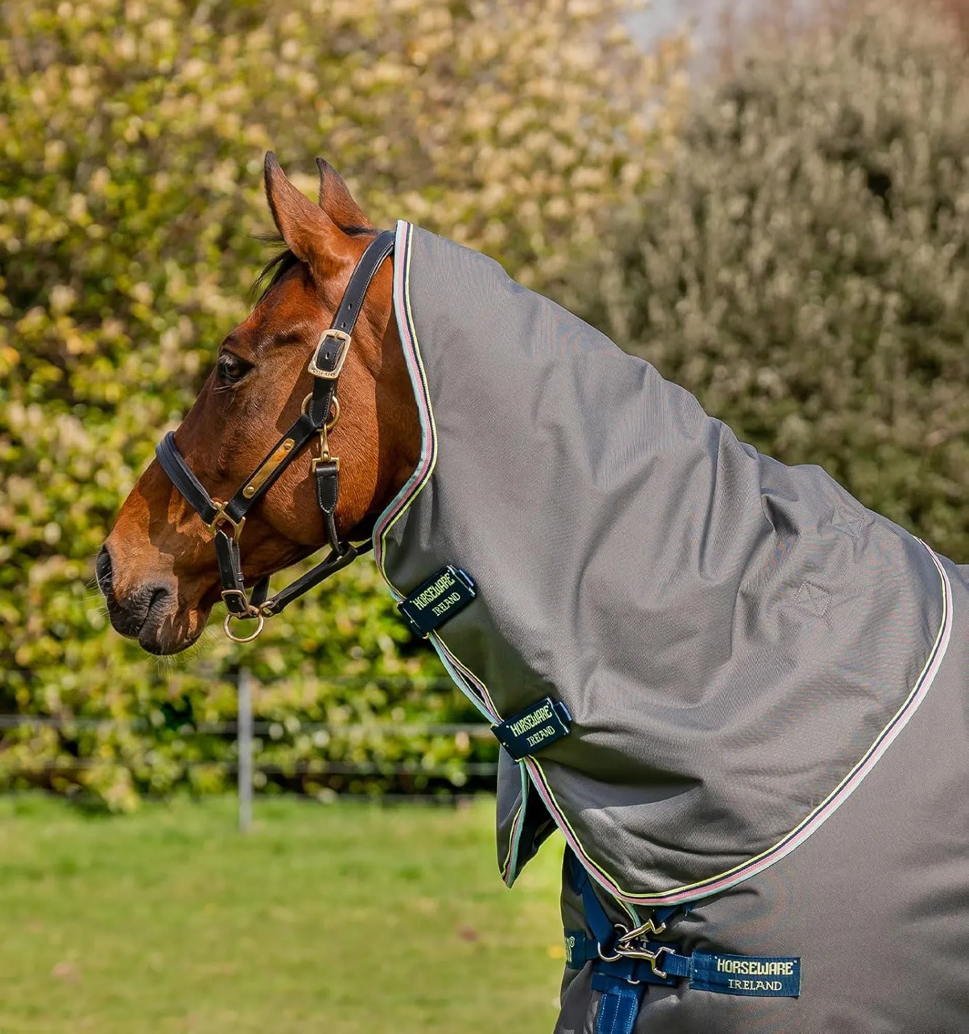 Horseware® Amigo® Bravo 12 Plus Turnout Horse Blanket (250g Medium)