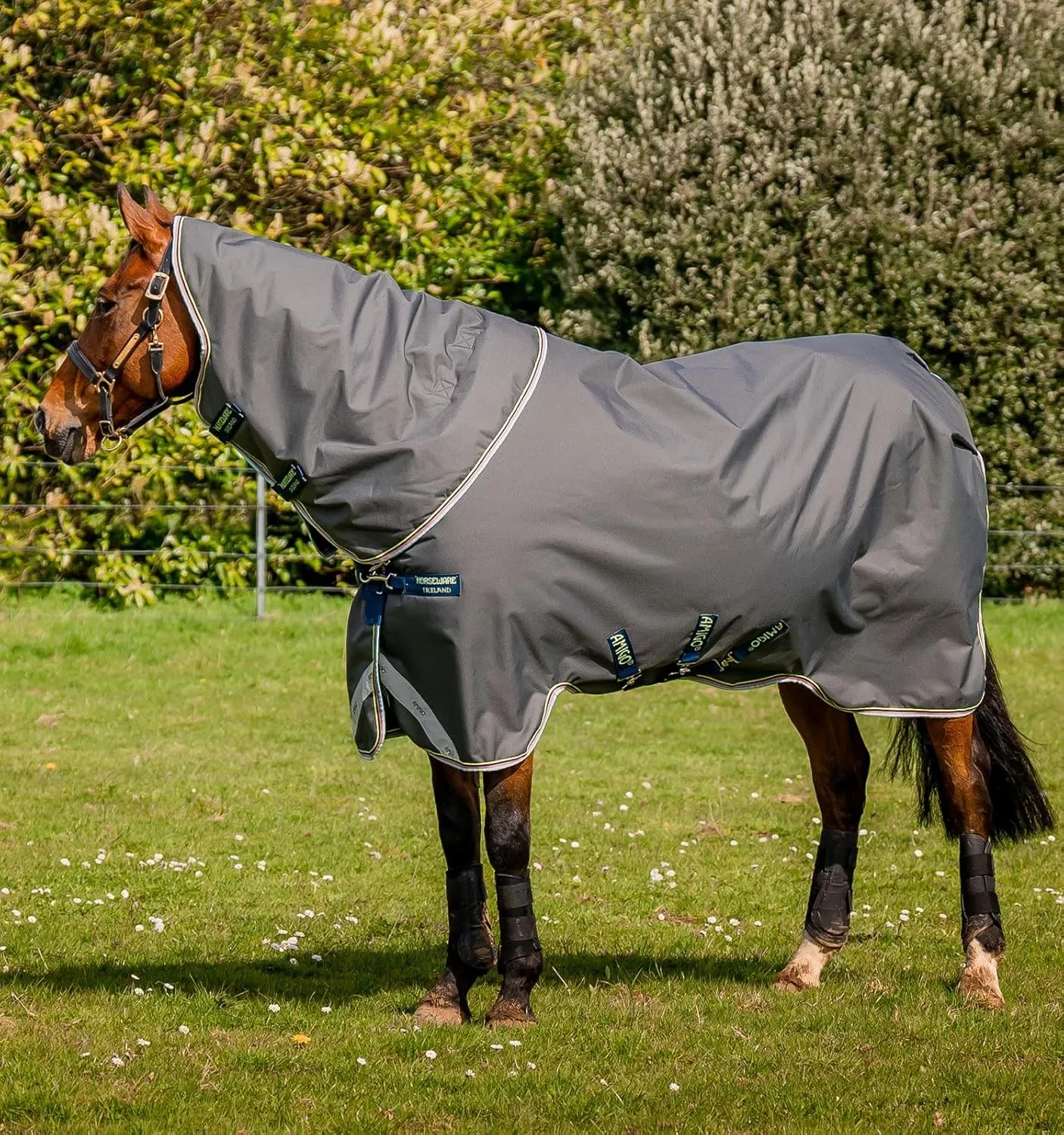 Horseware® Amigo® Bravo 12 Plus Turnout Horse Blanket (250g Medium)