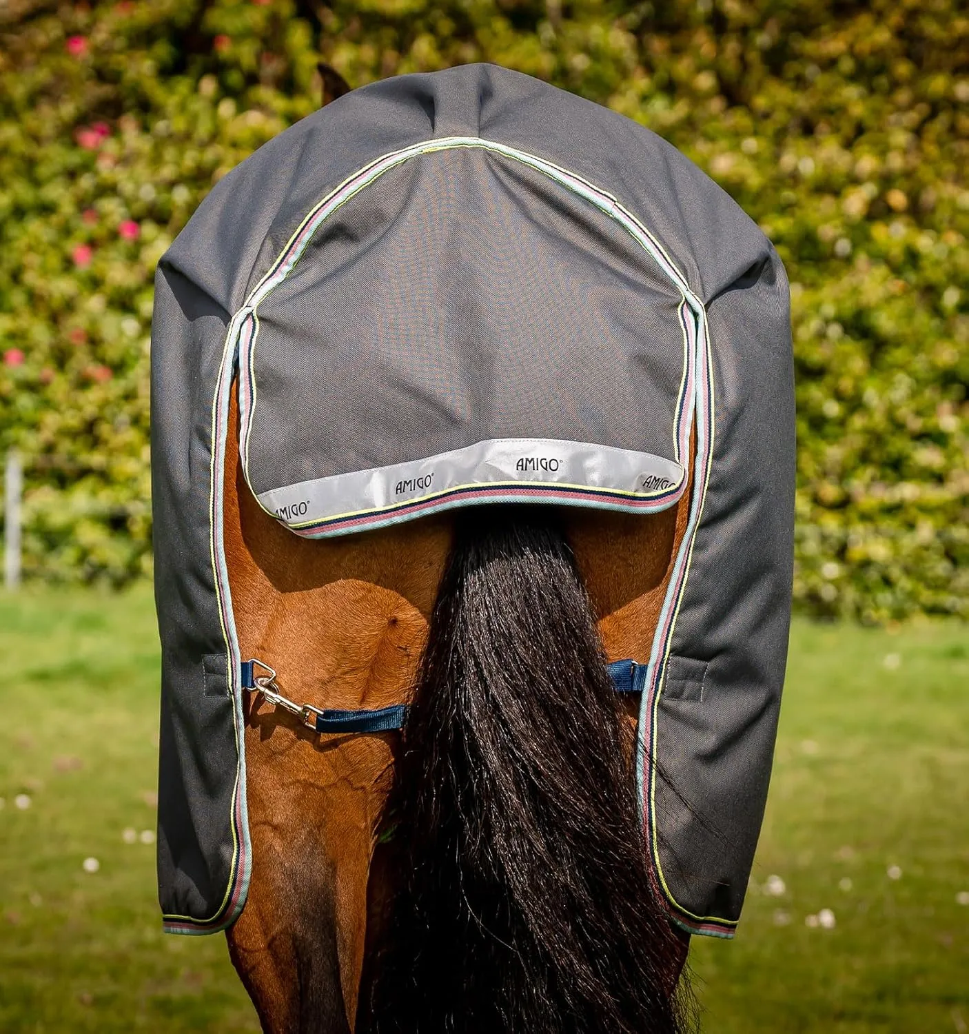 Horseware® Amigo® Bravo 12 Plus Turnout Horse Blanket (250g Medium)