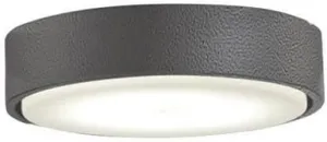 Minka-Aire Xtreme H2O Light Kit For F886L - Smoked Iron - K9886L-SI