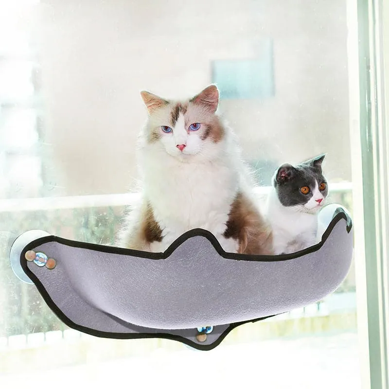 Pet Window Suction Cup Hammock Space Capsule Hanging Cat Litter