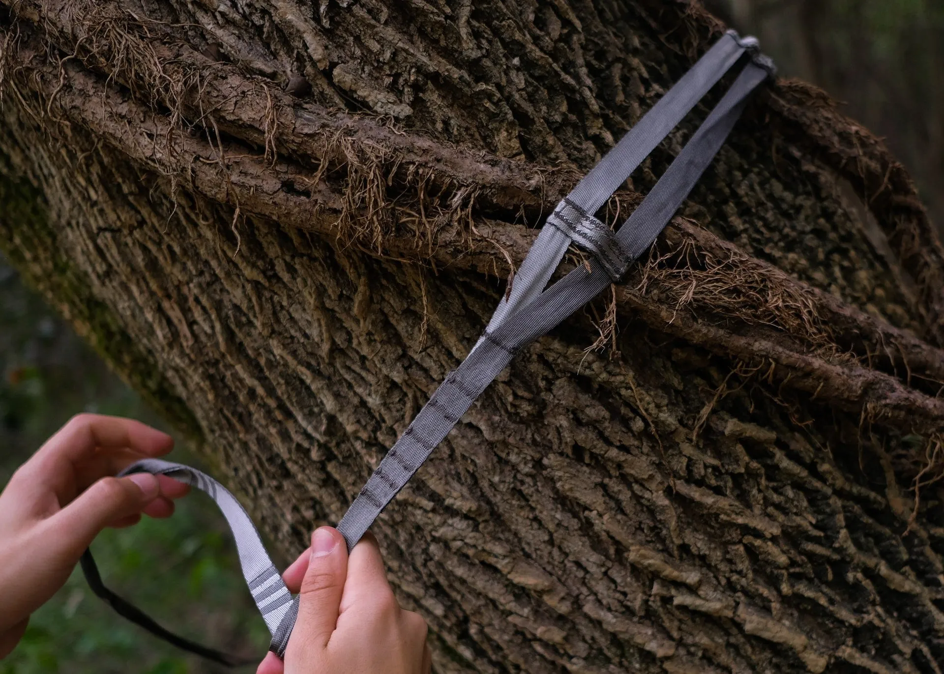 Python UL Hammock Straps