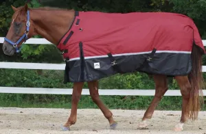 Reflect 1200 Denier Midweight Turnout - Adjustable Neck - Reflective Stripe - 200 Grams Fill