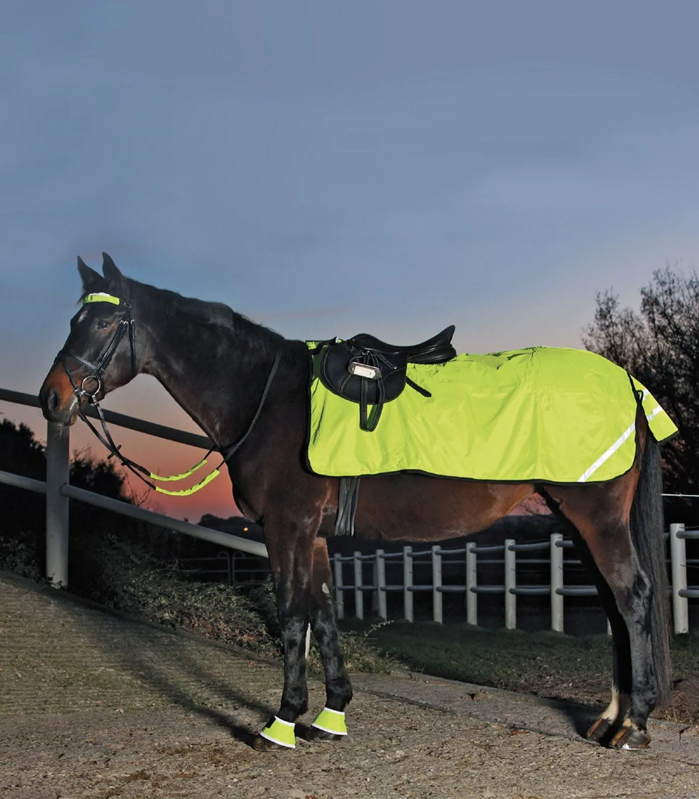Reflex Reflective Winter Exercise Sheet
