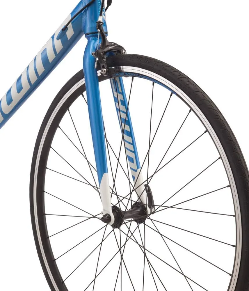 Schwinn Fastback Adult Performance Road Bike, Beginner to Intermediate Bicycle Riders, Aluminum Frame, 700c Wheels, 14-18 Speed Drivetrain