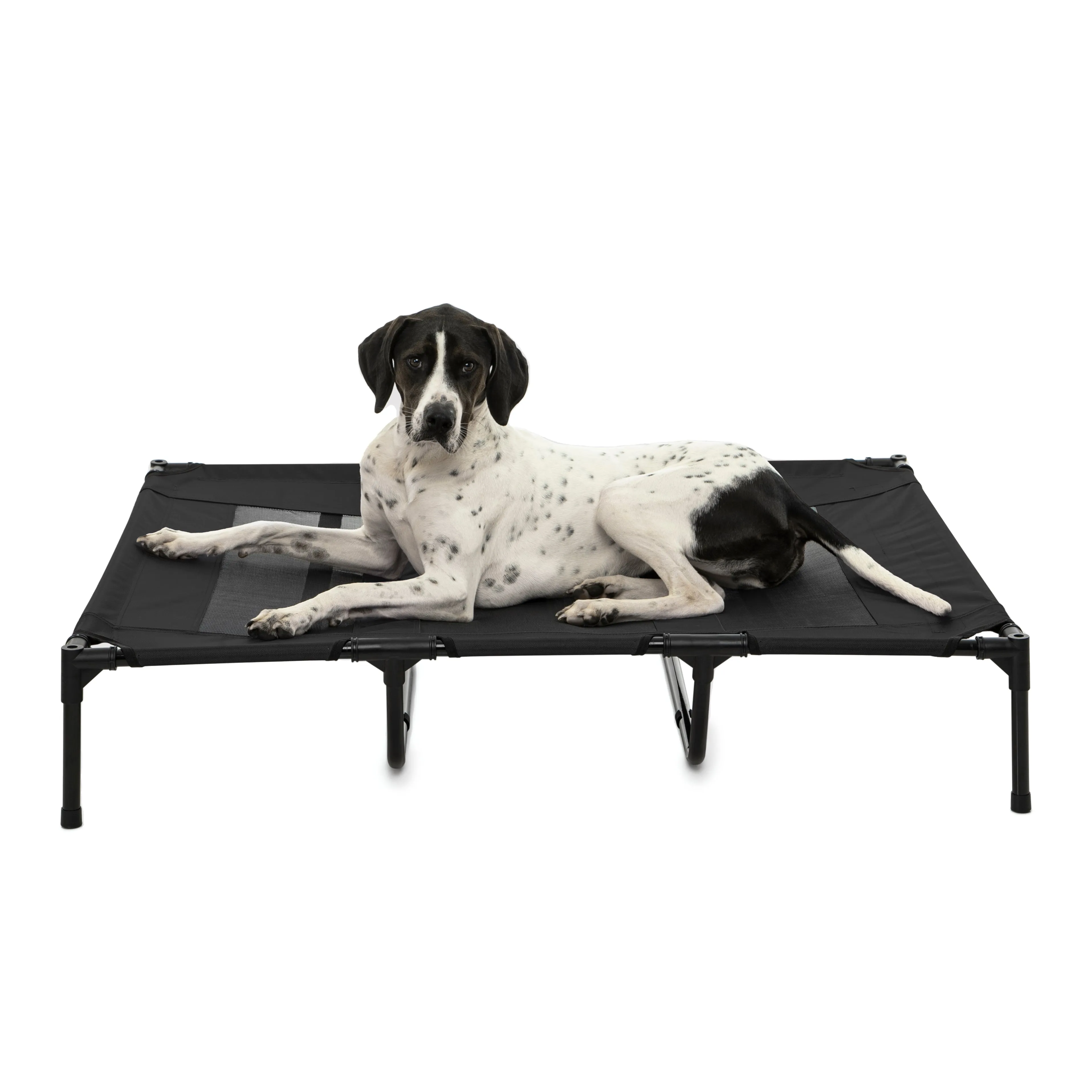 Shadey Trampoline Hammock Tent Pet Bed