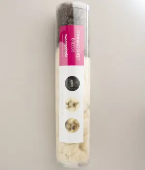 Spinning Sheep Breeds Kit / Long Wool