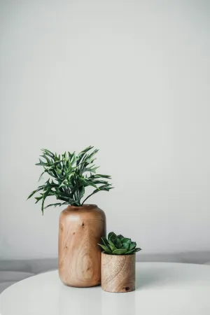 Spring Garden Kit