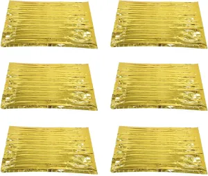 Survival Blanket Reflective Aluminum Foil Insulation Petra Safety Emergency Blanket for Camping Hiking Roadside Emergencies Backpacking