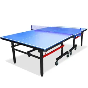 TABLE TENNIS TABLE (IMPORTED)