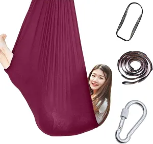 Therapy Swing Chair for Sensory Indoor Adult Kids Toys Play for Autism ADHD Vestibular System Exercise Up to 440 Lbs (200 Kg) (Color : Wine red, Size : 100x280cm/39x110in)