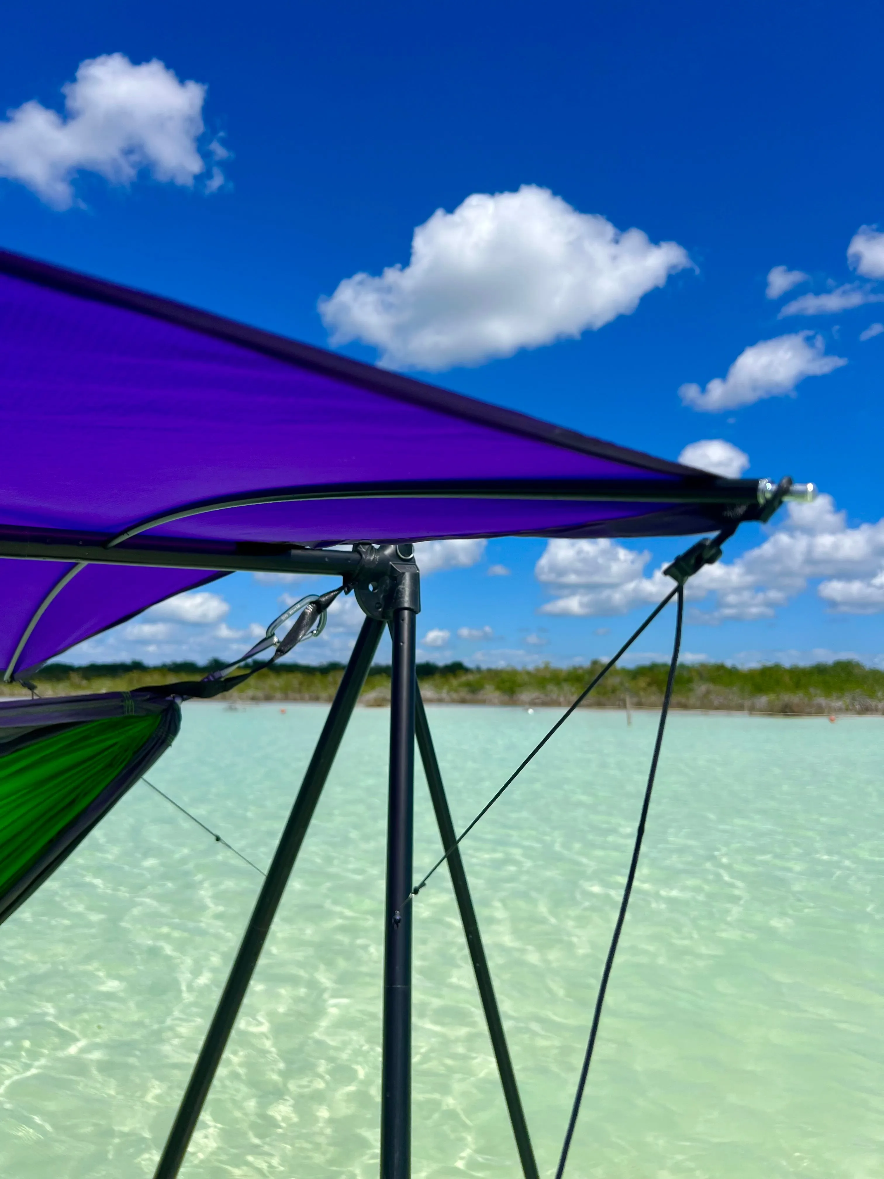 Turtlebug Lounger Sunshade