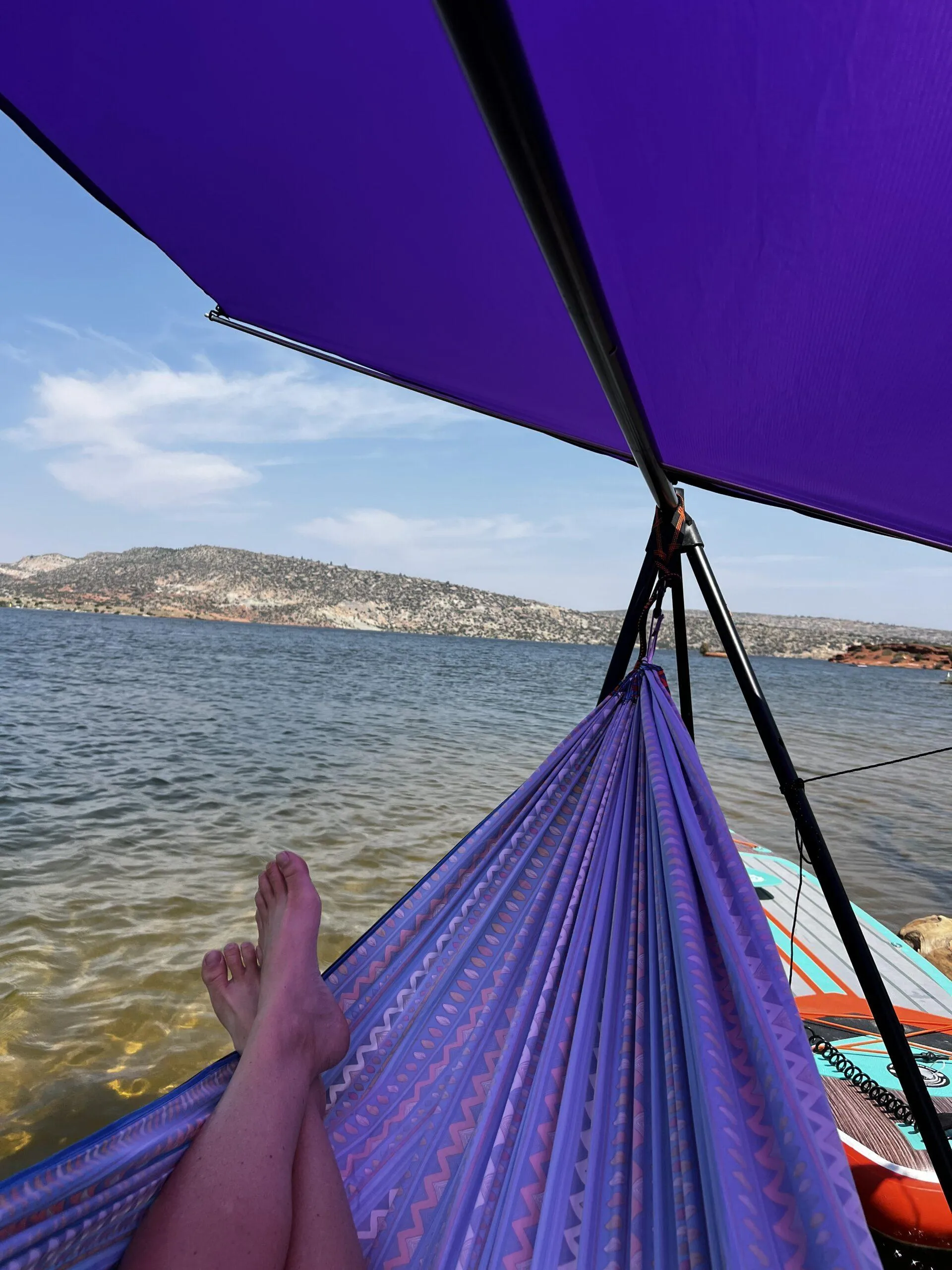 Turtlebug Lounger Sunshade