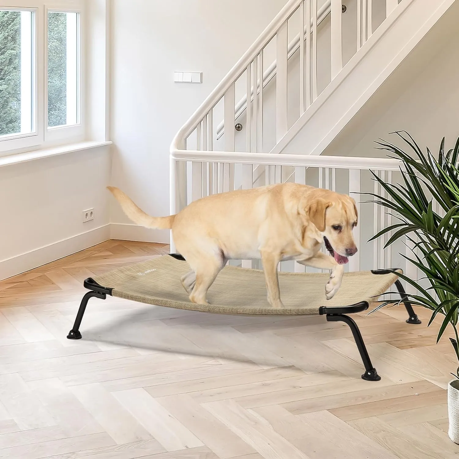 Veehoo Elevated Raised Dog Cot Bed, Curved Outdoor Dog Bed Off Ground Lifted Hammock Indoor Pet Bed with Breathable Teslin Mesh, Beige, 42"L x 30"W x 8"Th, Up to 120lbs