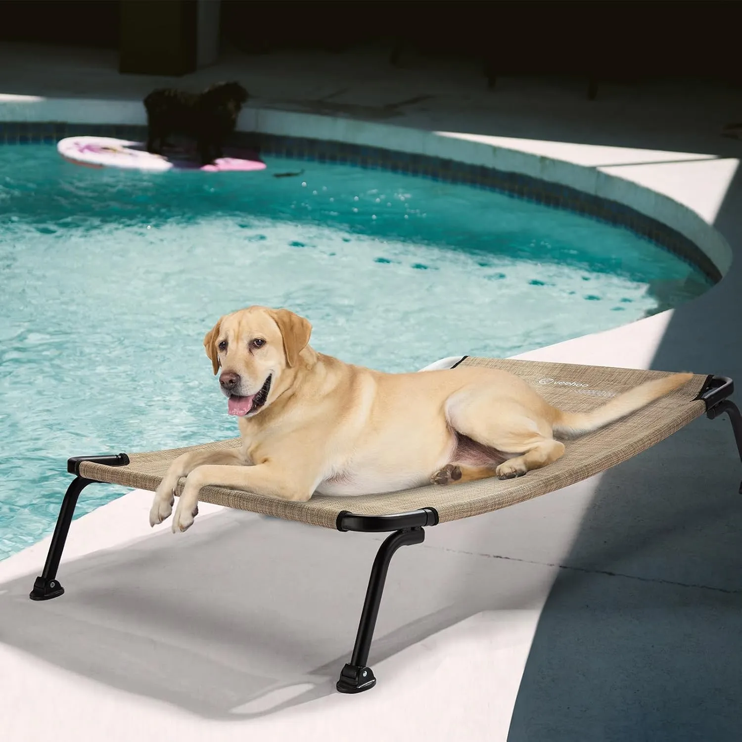 Veehoo Elevated Raised Dog Cot Bed, Curved Outdoor Dog Bed Off Ground Lifted Hammock Indoor Pet Bed with Breathable Teslin Mesh, Beige, 42"L x 30"W x 8"Th, Up to 120lbs
